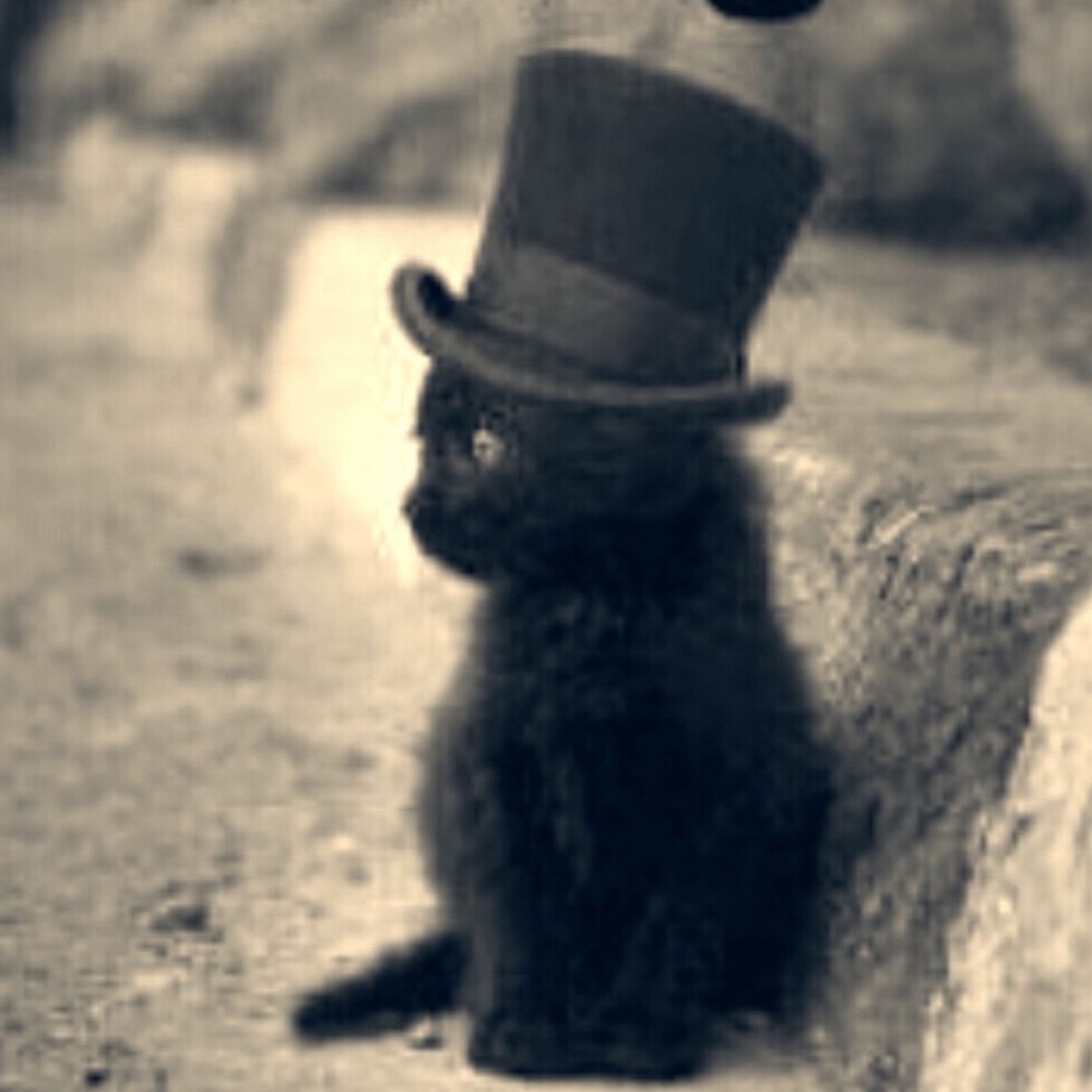 ❤️  🦄 Lauren Nicole 😉✨